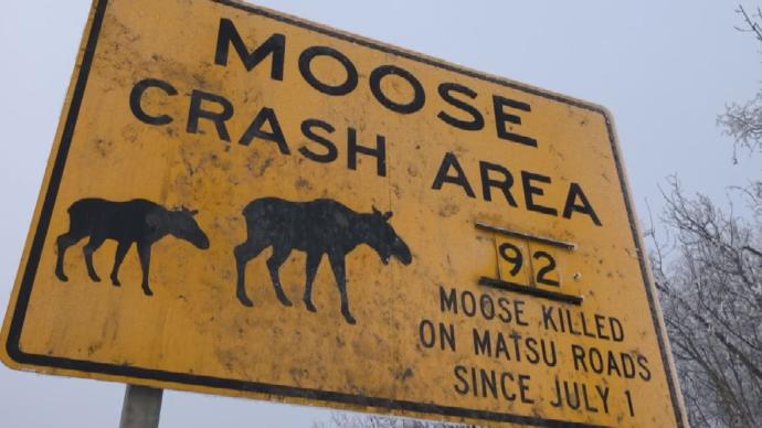 Moose crash road sign