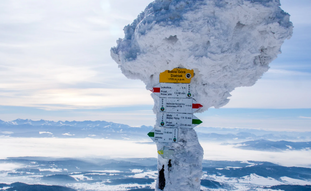 Snow covered signs